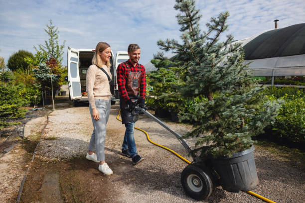 Best Commercial Tree Services  in Denham Springs, LA